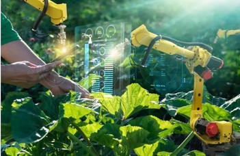 Robotizált sertésvágás, drónos tőszámlálás – gyökeresen átalakul a konzervatív mezőgazdaság